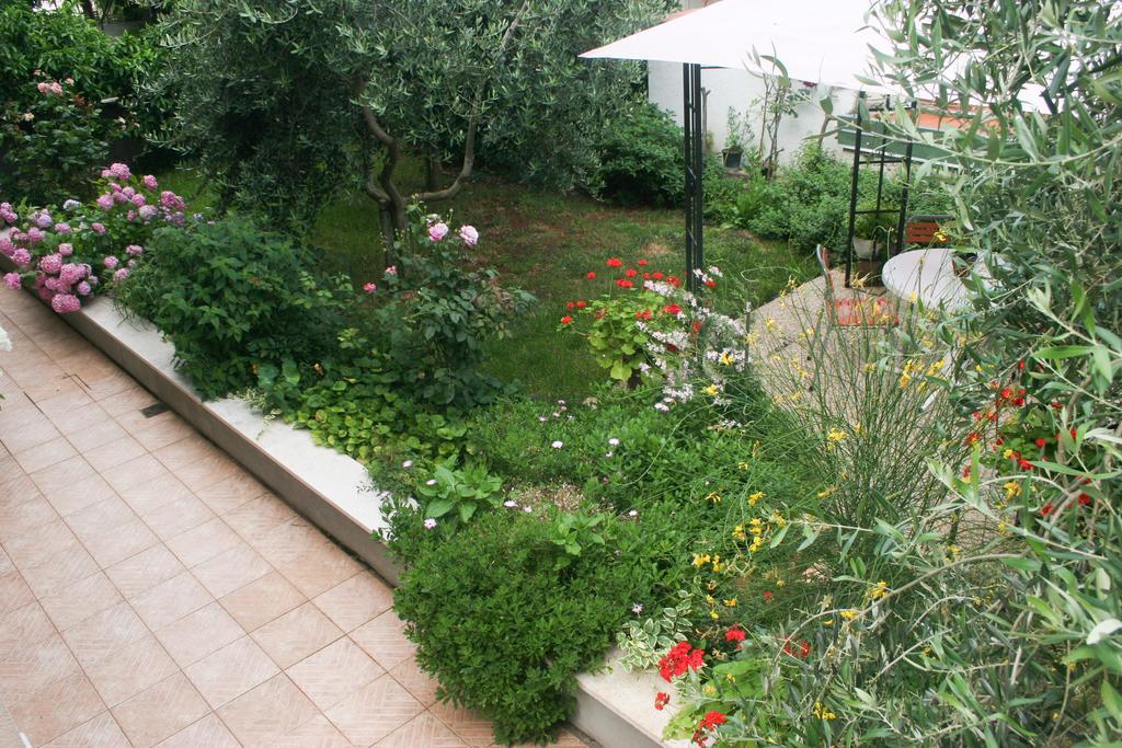 Apartment Ljubica Vrsar Exterior foto